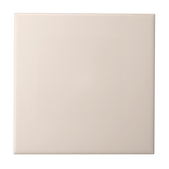 Outer Conch Shell Square Kitchen and Bathroom Ceramic Tile (Front)
