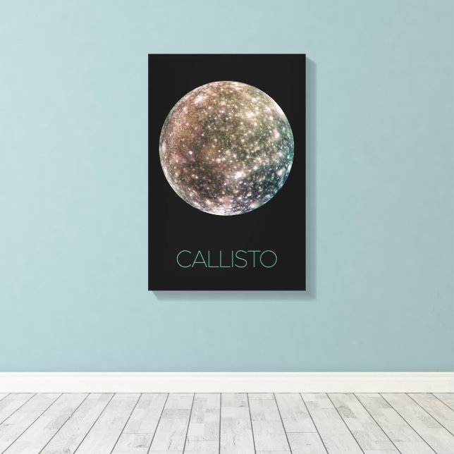 Outer Space, Cosmos, Solar System, Moon Callisto Canvas Print (Insitu(Wood Floor))