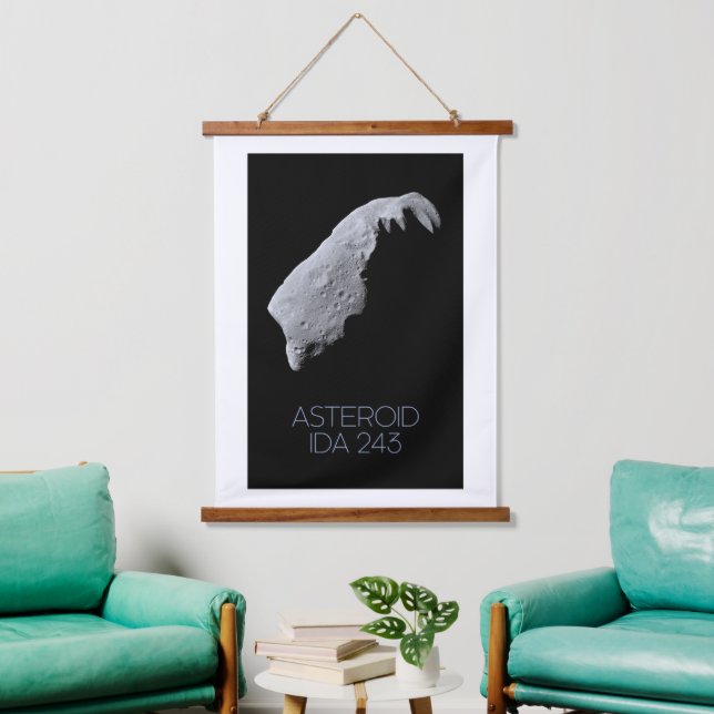 Outer Space, Solar System, Asteroid Belt, IDA 243 Hanging Tapestry (Living Room)