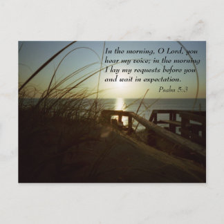 Outerbanks Morning 4 Postcard