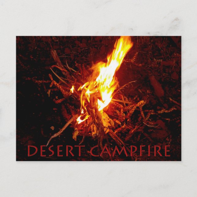 -Outlaw Thievery...True Old West Experience Here- Postcard (Front)