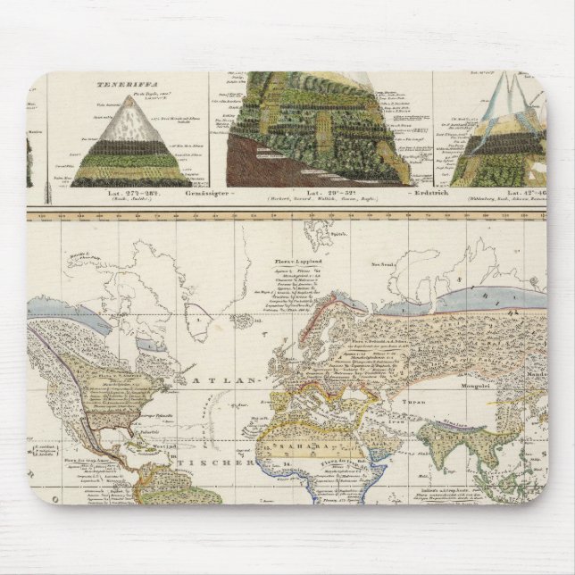 Outline of plant geography mouse pad (Front)
