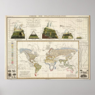 Outline of plant geography poster