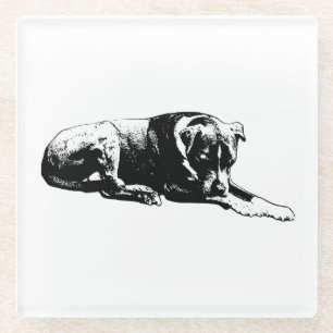 Outline Paws Coaster Set