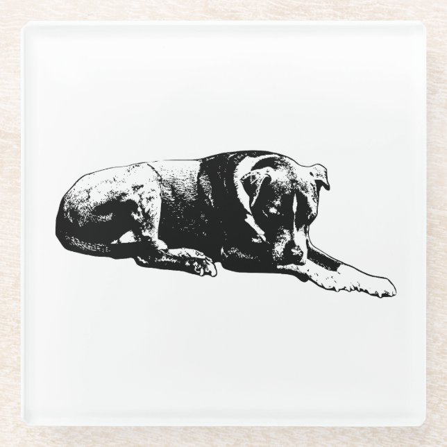 Outline Paws Coaster Set (Front)