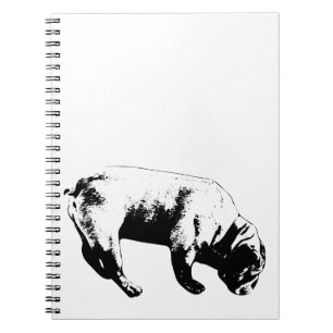 Outline Scout, Clarity Book