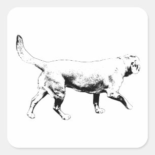 outline stride square sticker