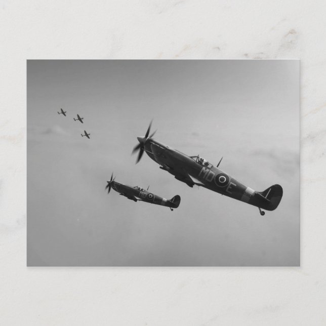 Outnumbered Postcard (Front)