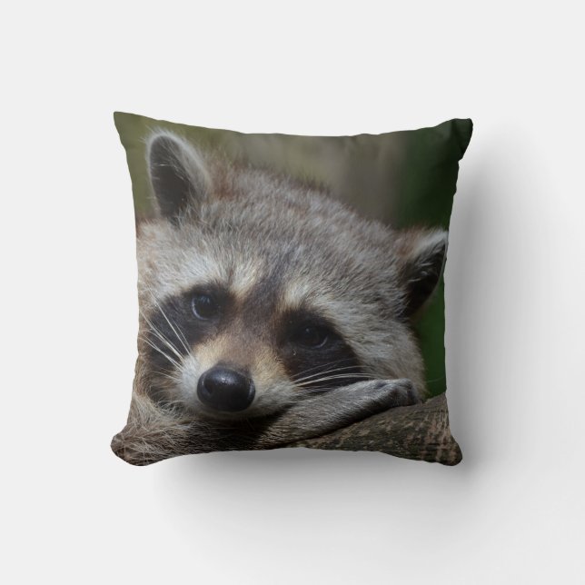 Outrageously Cute Baby Racoon Cushion (Front)