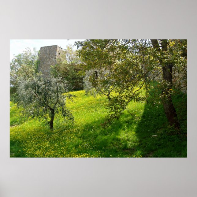 Outside San Gimignano walls Poster (Front)