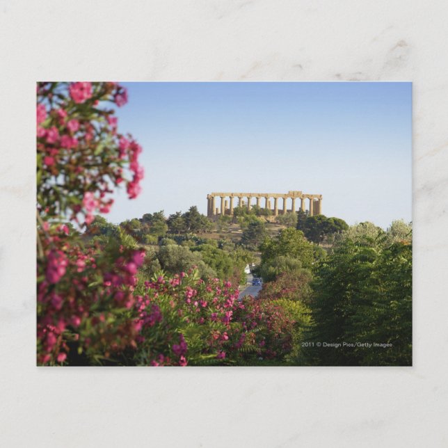 Outside The Valley Of The Temples Postcard (Front)
