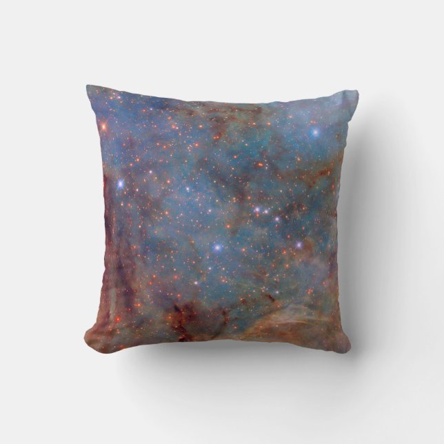 Outskirts of The Tarantula Nebula Cushion (Front)
