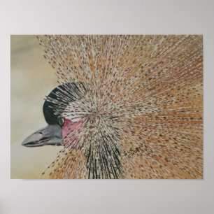 Outstanding African Crane Bird Poster
