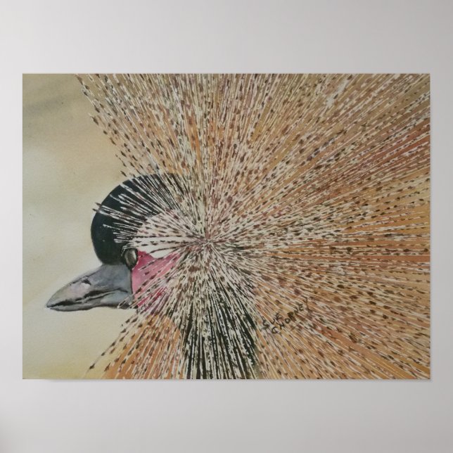 Outstanding African Crane Bird Poster (Front)