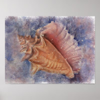 Outstanding Conch Beach Shell