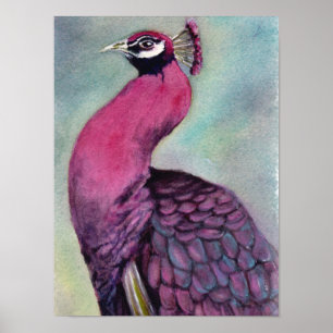 Outstanding Hot Pink Peacock Poster