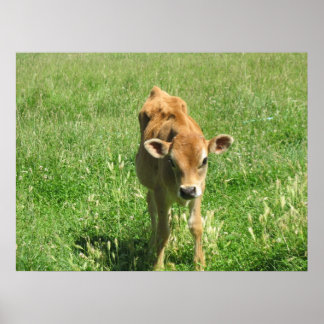 Outstanding In his field Photo Print