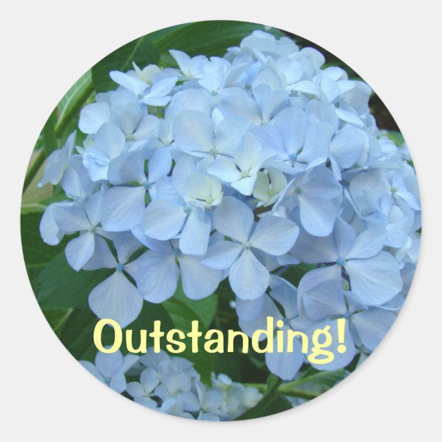 Outstanding! stickers Blue Hydrangea Flowers (Front)