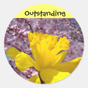 Outstanding Stickers Good Joy Kid's stickers Great