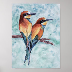 Outstanding Tropical Birds Poster