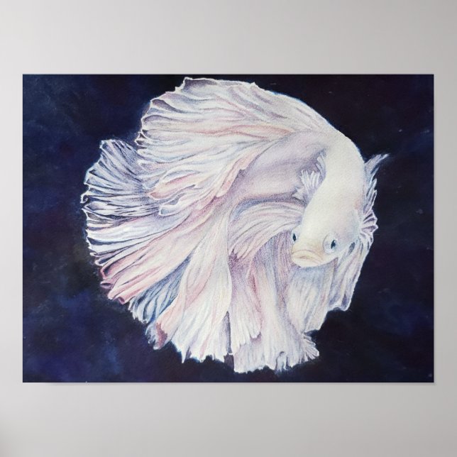 Outstanding White Fighter Fish Poster (Front)