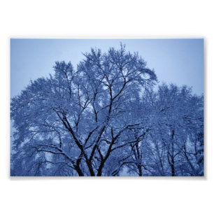 Outter Limits 7x5 Phototographic Print