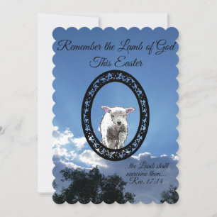 Oval Framed Lamb Sun Lit Clouds Flat Holiday Card