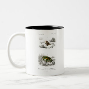 Oval frog and Green toad Two-Tone Coffee Mug