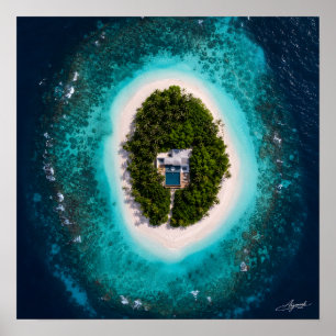 Oval Island Luxury Villa Satellite View Poster