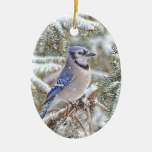 Oval ornament featuring a Blue Jay in snow