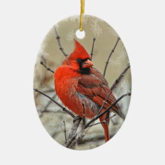 Oval ornament featuring a male cardinal.