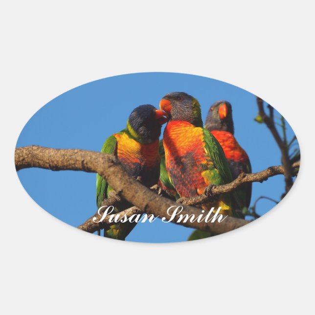 Oval photo sticker with name - Rainbow Lorikeet (Front)