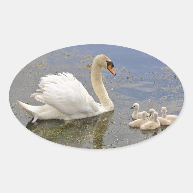 Oval Sticker - Customised (Front)