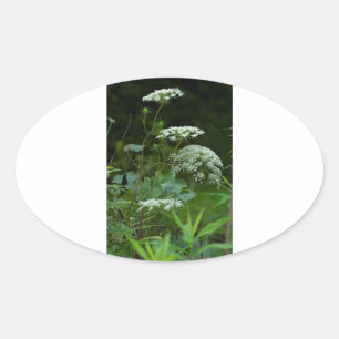 oval sticker template