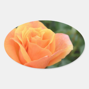oval sticker with orange rose