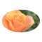 oval sticker with orange rose