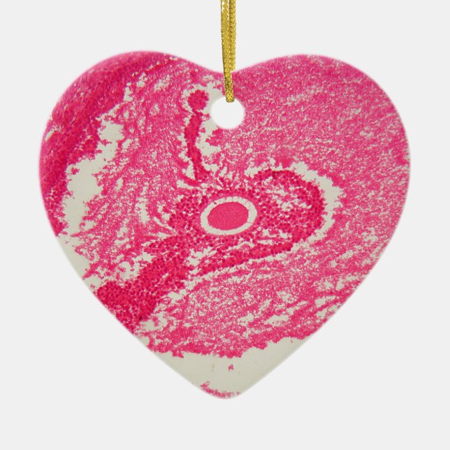 Ovary cells under the microscope. ceramic ornament (Front)