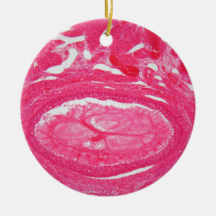 Ovary cells under the microscope. ceramic tree decoration