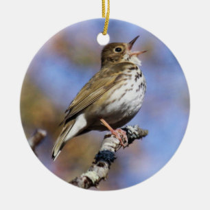 Ovenbird Ceramic Ornament