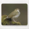Ovenbird Mousepad
