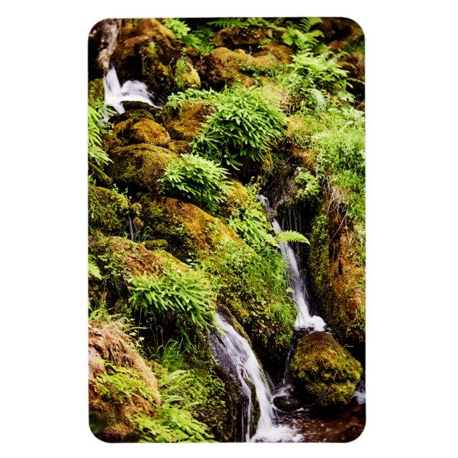 Over and Under Magnet (Vertical)