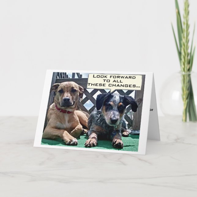 OVER THE HILL / WHAT YOU CAN EXPECT BIRTHDAY CARD (Front)