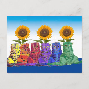Over the Rainbow Cats   Postcard