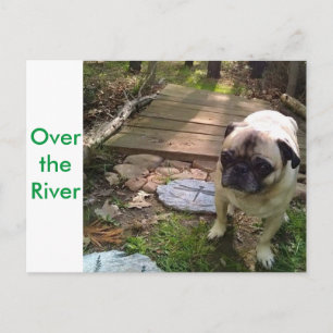 Over the River Postcard