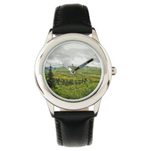 Overcast at Denali National Park Alaska Abstract Watch