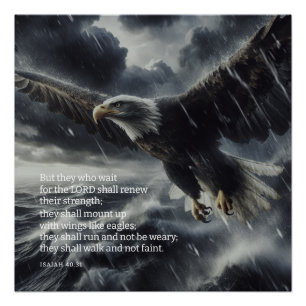 Overcoming The Storm Isaiah 40:31 Poster