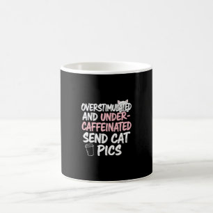 Overestimated Send Cat Pics Funny Mug