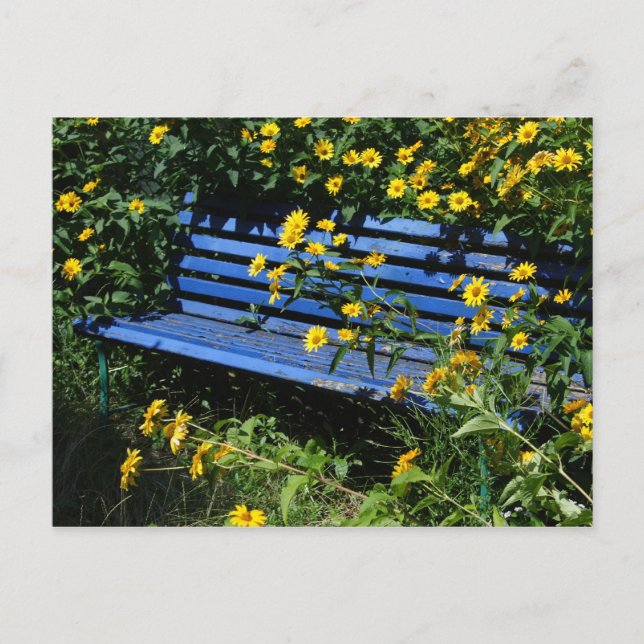 overgrown blue bench postcard (Front)