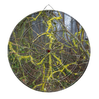 Overgrown branches with green moss dartboard