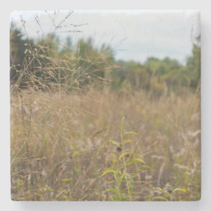 Overgrown Prairie Stone Coaster